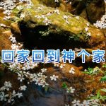 客家回家