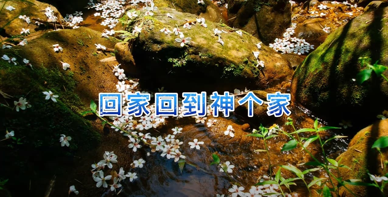 客家回家